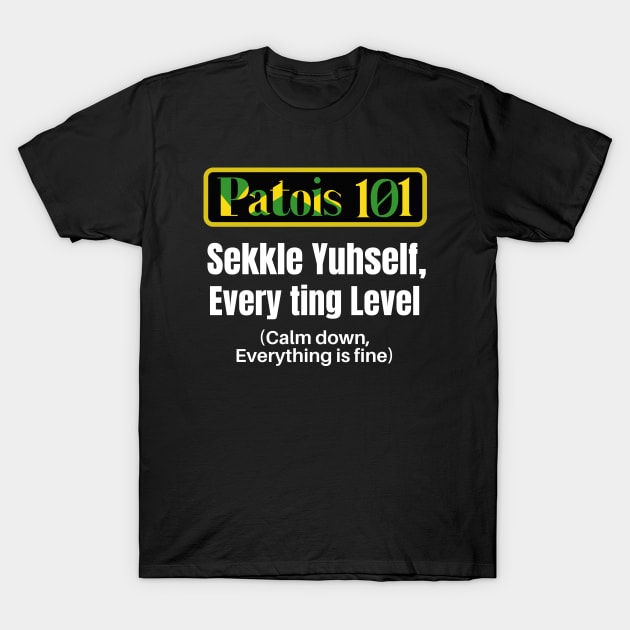 Jamaican Patois 101, Every ting level T-Shirt by MzM2U